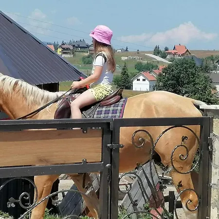 Holiday home Tarska Bajka Bajina Basta