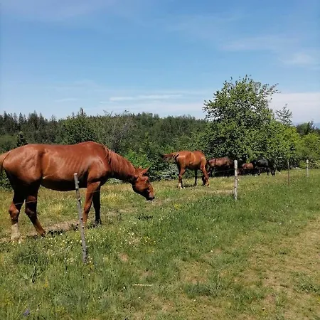 Holiday home Tarska Bajka *