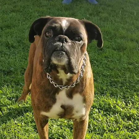 Tarska Bajka Holiday home *